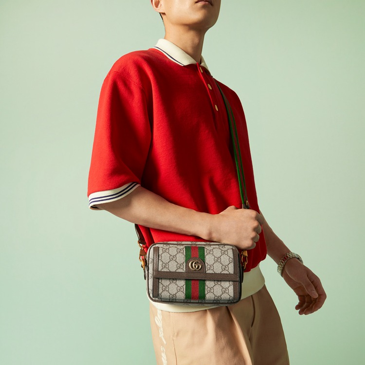 746308.96IWT.8745.003.100.0000.Light Ophidia GG mini bag